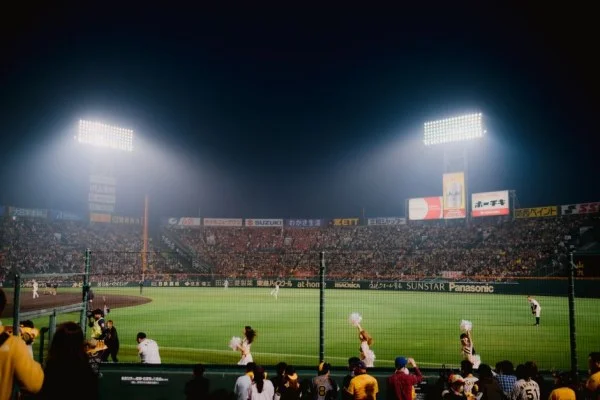 baseball stadium crowd night